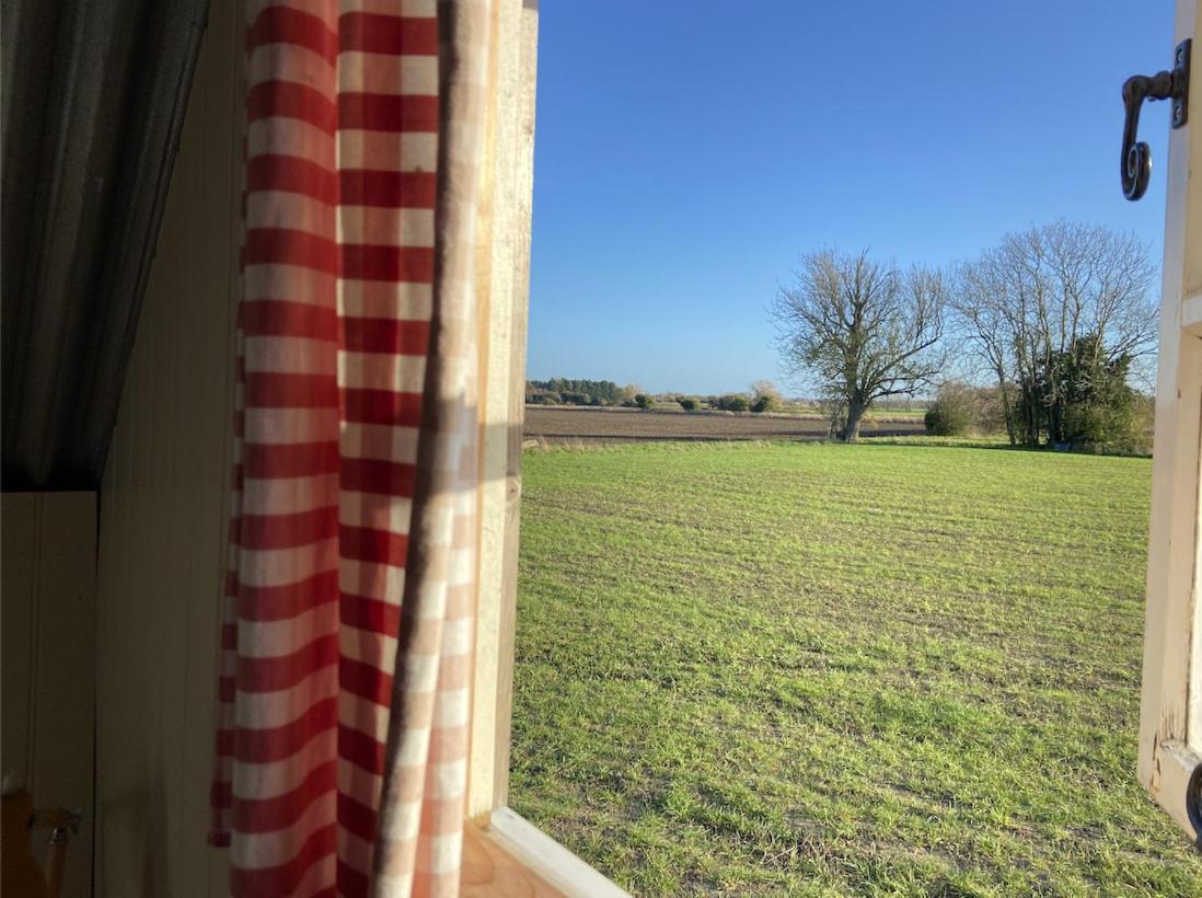 Fen Meadows Glamping - Luxury Cabins And Bell Tents Cambridge  Exterior photo